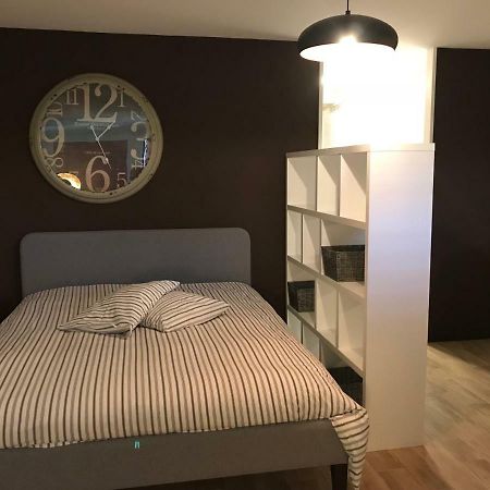 Large Studio Near Epfl And Lausanne City Center Ecublens  Extérieur photo