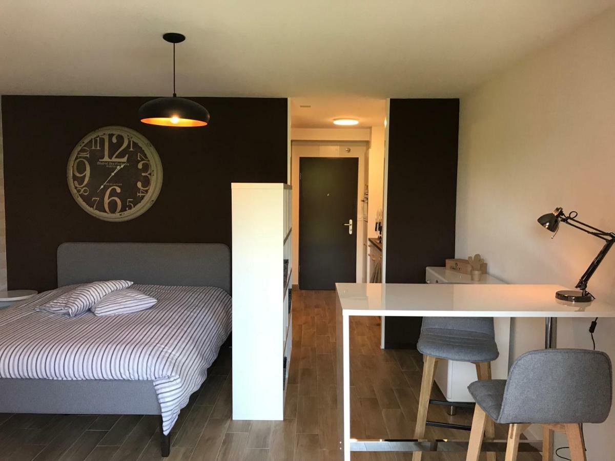 Large Studio Near Epfl And Lausanne City Center Ecublens  Extérieur photo