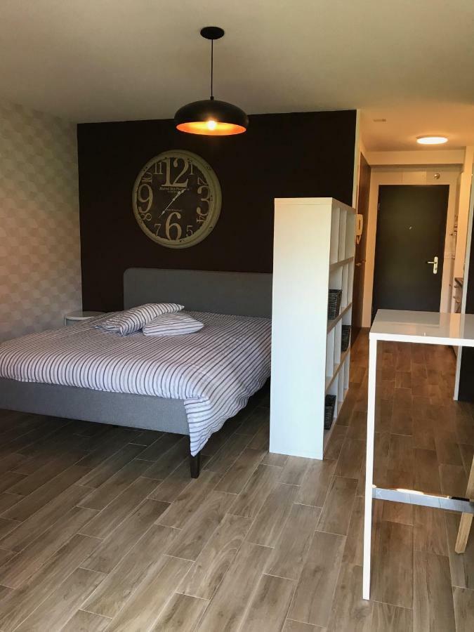 Large Studio Near Epfl And Lausanne City Center Ecublens  Extérieur photo