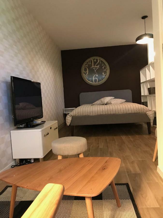 Large Studio Near Epfl And Lausanne City Center Ecublens  Extérieur photo